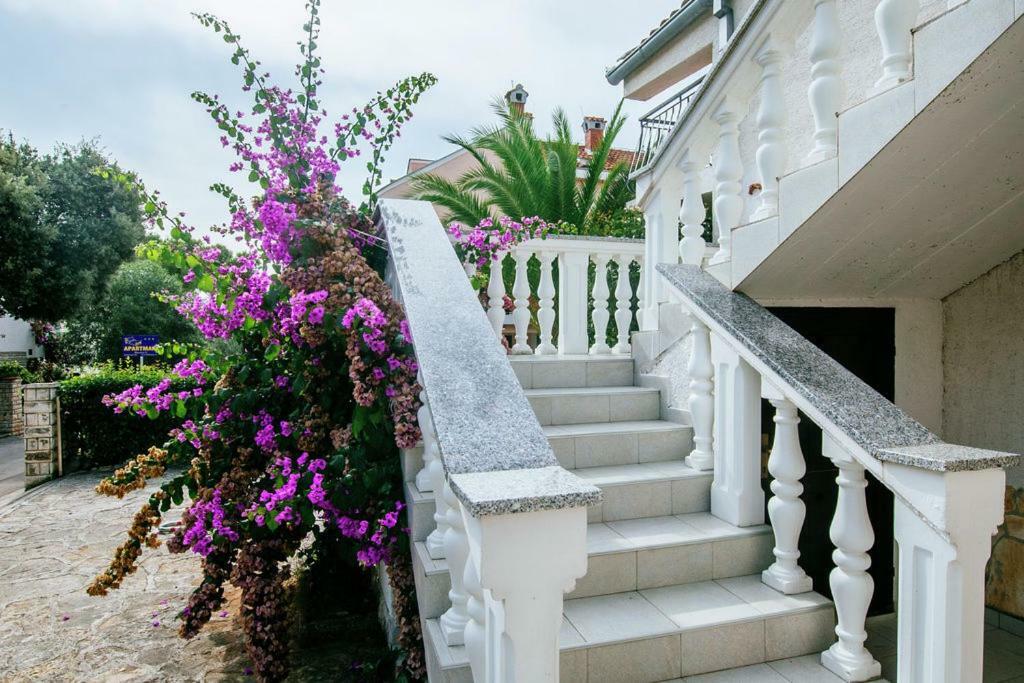 Apartment Nada Petrčane Zewnętrze zdjęcie
